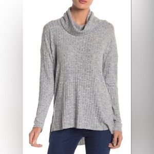 Abound Turtleneck Tunic Sweater